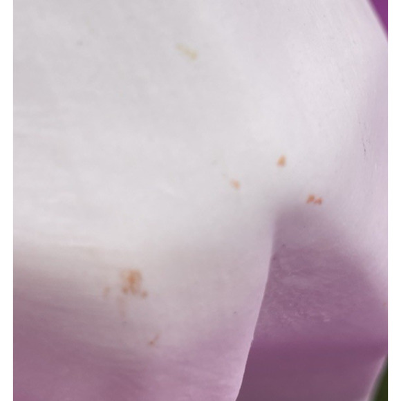 Ceramic Geometric Cubist Abstract Art Polar Bear Figurine - Picture 11 of 12